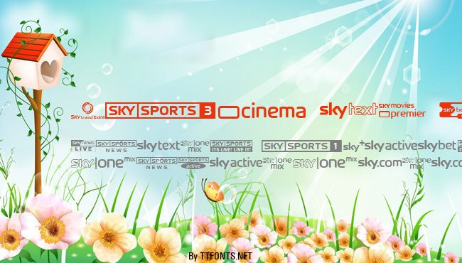 Sky TV Channel Logos example